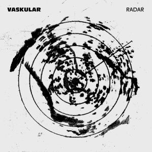 Vaskular «Radar» (dps41)